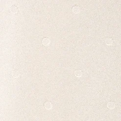 CRAVATTA CERIMONIA IN RASO DI SETA GRIGIO CHIARO Pois